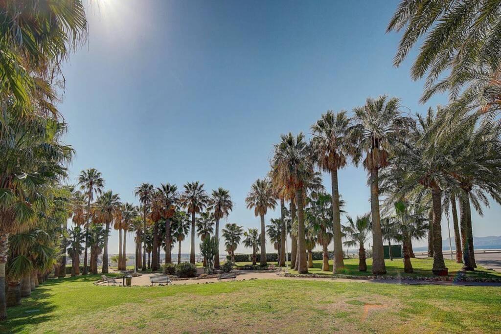 戛纳Le Palm - 100M Plage - Croisette - Verriere Cote D'Azur公寓 外观 照片